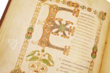 Psalter Ludwigs des Deutschen – Akademische Druck- u. Verlagsanstalt (ADEVA) – Ms. Theol. Lat. Fol. 58 – Staatsbibliothek zu Berlin (Berlin, Deutschland) Psalter Ludwigs des Deutschen – Akademische Druck- u. Verlagsanstalt (ADEVA) – Ms. Theol. Lat. Fol. 58 – Staatsbibliothek zu Berlin (Berlin, Deutschland)