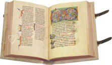 Stammheimer Missale – Quaternio Verlag Luzern – Ms. 64 (97.MG.21) – J. Paul Getty Museum (Los Angeles, USA) Stammheimer Missale – Quaternio Verlag Luzern – Ms. 64 (97.MG.21) – J. Paul Getty Museum (Los Angeles, USA)