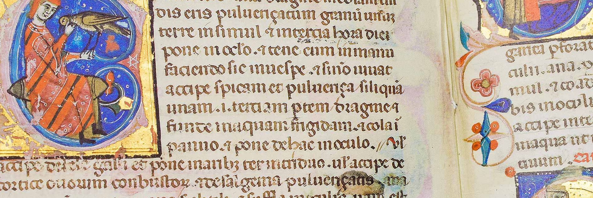 Unsere Empfehlung <i>"Die Vorlage für Kaiser Friedrichs II. berühmtes Falkenbuch"</i>