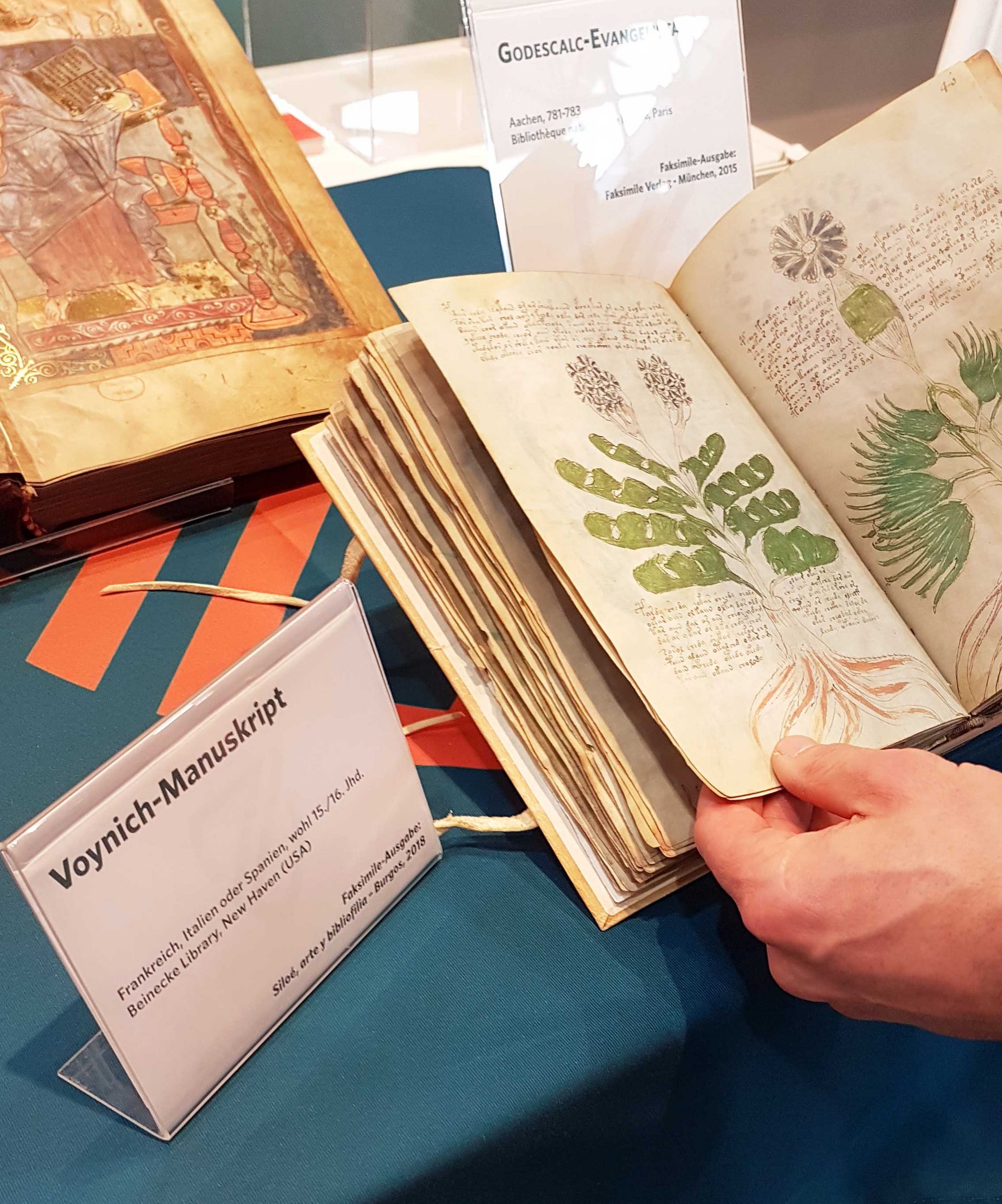 Das gerade fertiggestellte Faksimile des Voynich Manuskripts ist erst zwei Tage vor der Messe aus Spanien bei uns eingetroffen!