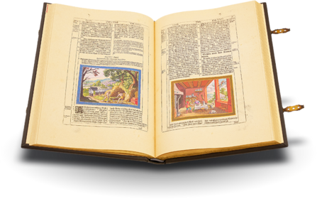 Matthäus Merian: Kupferbibel Biblia 1630 - Altes Testament Faksimile