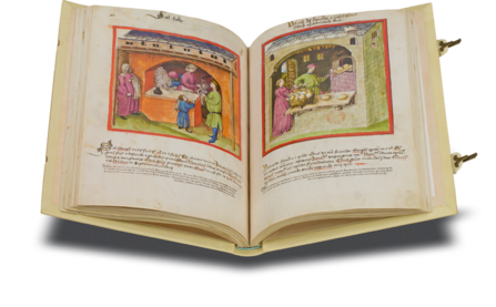Tacuinum Sanitatis - Codex Paris Faksimile