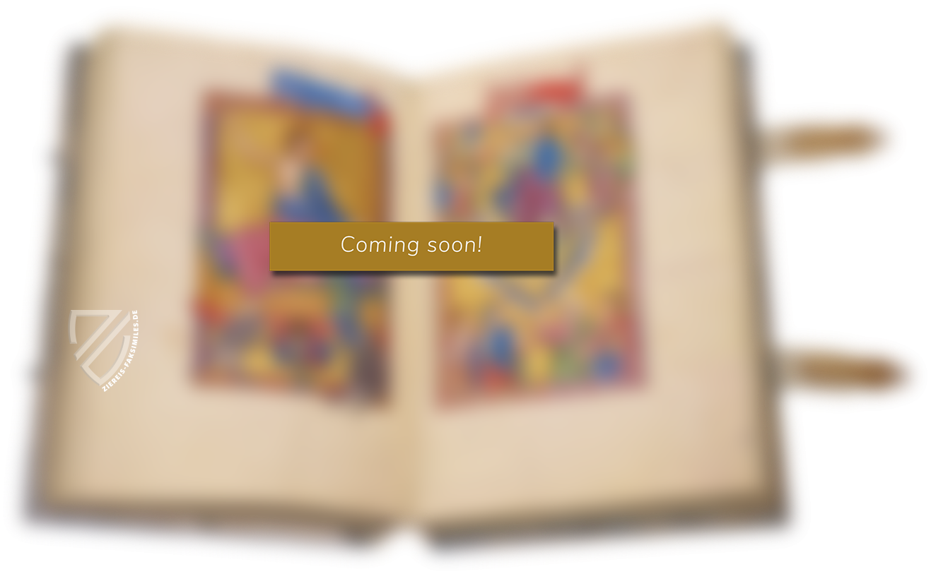 Zeichnungen von Leonardo da Vinci und seinem Umkreis - Biblioteca Ambrosiana in Mailand – Electa – Veneranda Biblioteca Ambrosiana (Mailand, Italien) Zeichnungen von Leonardo da Vinci und seinem Umkreis - Biblioteca Ambrosiana in Mailand – Electa – Veneranda Biblioteca Ambrosiana (Mailand, Italien)