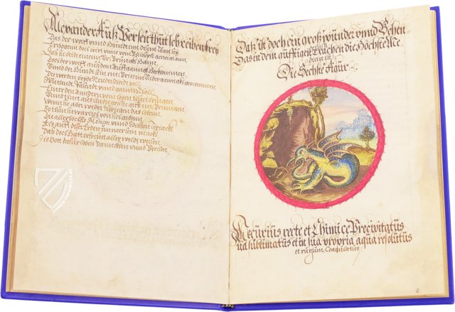 Alchemistisches Lehrgedicht von 1556 –  – Ms P 2177 – Zentralbibliothek Zürich (Zürich, Schweiz)