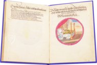 Alchemistisches Lehrgedicht von 1556 –  – Ms P 2177 – Zentralbibliothek Zürich (Zürich, Schweiz)