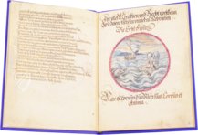 Alchemistisches Lehrgedicht von 1556 –  – Ms P 2177 – Zentralbibliothek Zürich (Zürich, Schweiz)