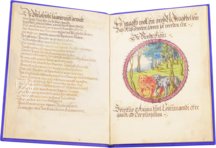 Alchemistisches Lehrgedicht von 1556 –  – Ms P 2177 – Zentralbibliothek Zürich (Zürich, Schweiz)