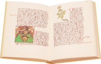 Buch der einfachen Heilmittel - Codex Bruxellensis – De Schutter – Codex Bruxellensis IV. 1024 – Bibliothèque Royale de Belgique (Bruxelles, Belgium)