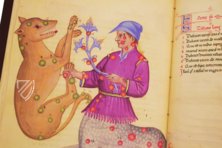 Buch der Fixsterne Alfons’ X. des Weisen – Patrimonio Ediciones – Ms. 78D12 – Kupferstichkabinett (Berlin, Deutschland) Buch der Fixsterne Alfons’ X. des Weisen – Patrimonio Ediciones – Ms. 78D12 – Kupferstichkabinett (Berlin, Deutschland)