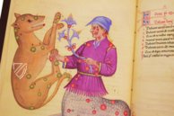 Buch der Fixsterne Alfons’ X. des Weisen – Patrimonio Ediciones – Ms. 78D12 – Kupferstichkabinett (Berlin, Deutschland) Buch der Fixsterne Alfons’ X. des Weisen – Patrimonio Ediciones – Ms. 78D12 – Kupferstichkabinett (Berlin, Deutschland)