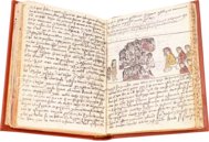 Codex aus Michoacán – Testimonio Compañía Editorial – Ç.IV.5 – Real Biblioteca del Monasterio de San Lorenzo de El Escorial (San Lorenzo de El Escorial, Spanien) Codex aus Michoacán – Testimonio Compañía Editorial – Ç.IV.5 – Real Biblioteca del Monasterio de San Lorenzo de El Escorial (San Lorenzo de El Escorial, Spanien)