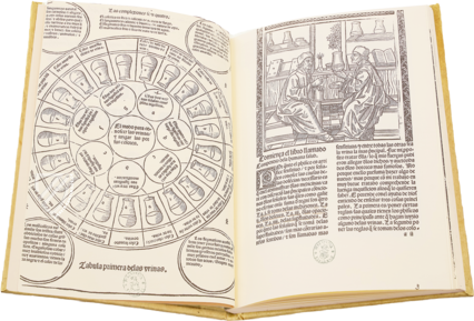 Kompendium der Gesundheit â Vicent Garcia Editores â I/51 â Biblioteca Nacional de España (Madrid, Spanien) Kompendium der Gesundheit â Vicent Garcia Editores â I/51 â Biblioteca Nacional de España (Madrid, Spanien)