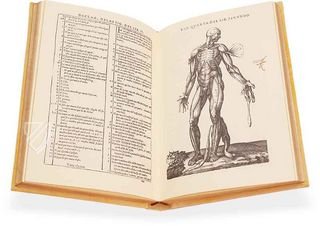 Geschichte über die menschliche Körperzusammensetzung – Vicent Garcia Editores – D-44bis – Biblioteca Histórico Médica de la Universidad de València (Valencia, Spanien)