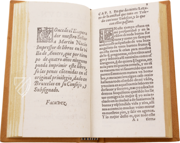 Leben von Lazarillo de Tormes â AyN Ediciones â Biblioteca Nacional de España (Madrid, Spanien) Leben von Lazarillo de Tormes â AyN Ediciones â Biblioteca Nacional de España (Madrid, Spanien)