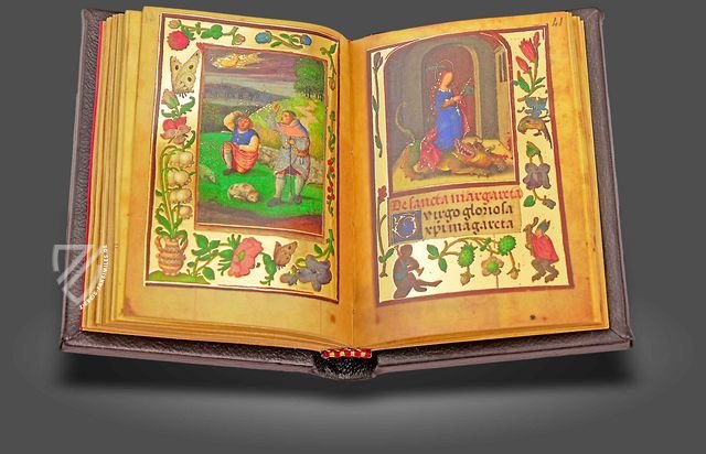 Gebetbuch Heinrichs III. von Nassau – Imago – MS W.425 – Walters Art Museum (Baltimore, USA)