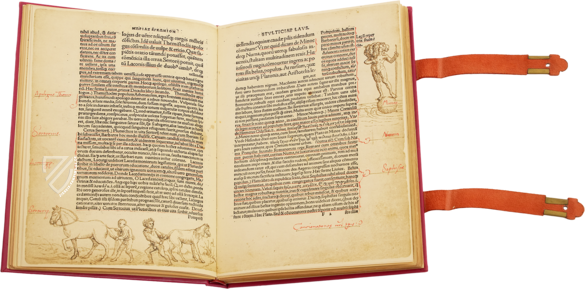 Erasmus von Rotterdam - Lob der Torheit – Henning Oppermann – Kunstmuseum Basel (Basel, Schweiz) Erasmus von Rotterdam - Lob der Torheit – Henning Oppermann – Kunstmuseum Basel (Basel, Schweiz)