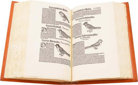 Vogelbuch von Conrad Gessner – Josef Stocker-Schmid – NS 4 | F – Zentralbibliothek Zürich (Zürich, Schweiz)