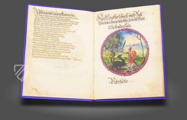 Alchemistisches Lehrgedicht von 1556 –  – Ms P 2177 – Zentralbibliothek Zürich (Zürich, Schweiz)