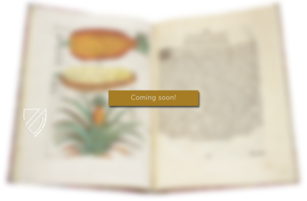 Kurze Zusammenfassung der Arithmetik – Vicent Garcia Editores – 41457 – Universidad de Salamanca (Salamanca, Spanien) Kurze Zusammenfassung der Arithmetik – Vicent Garcia Editores – 41457 – Universidad de Salamanca (Salamanca, Spanien)