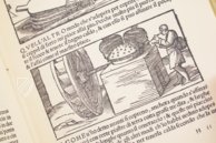 De la Pirotechnia - Zweite Ausgabe – Circulo Cientifico – RBME Mª 8-II-3 – Real Biblioteca del Monasterio de San Lorenzo de El Escorial (San Lorenzo de El Escorial, Spanien) De la Pirotechnia - Zweite Ausgabe – Circulo Cientifico – RBME Mª 8-II-3 – Real Biblioteca del Monasterio de San Lorenzo de El Escorial (San Lorenzo de El Escorial, Spanien)