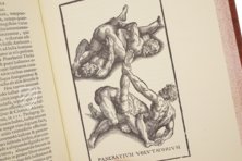 Hieronymus Mercurialis: De Arte Gymnastica – Editions Medicina Rara – Ah VI 1.4 – Universitätsbibliothek Tübingen (Tübingen, Deutschland)