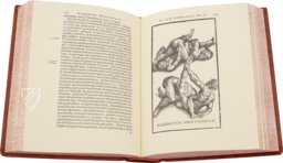 Hieronymus Mercurialis: De Arte Gymnastica – Editions Medicina Rara – Ah VI 1.4 – Universitätsbibliothek Tübingen (Tübingen, Deutschland)