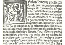Libro del arte de las comadres o madrinas y del regimiento de las preñadas y paridas y de los niños – Vicent Garcia Editores – M.618.2c21d – Biblioteca Complutense (Madrid, Spanien) Libro del arte de las comadres o madrinas y del regimiento de las preñadas y paridas y de los niños – Vicent Garcia Editores – M.618.2c21d – Biblioteca Complutense (Madrid, Spanien)