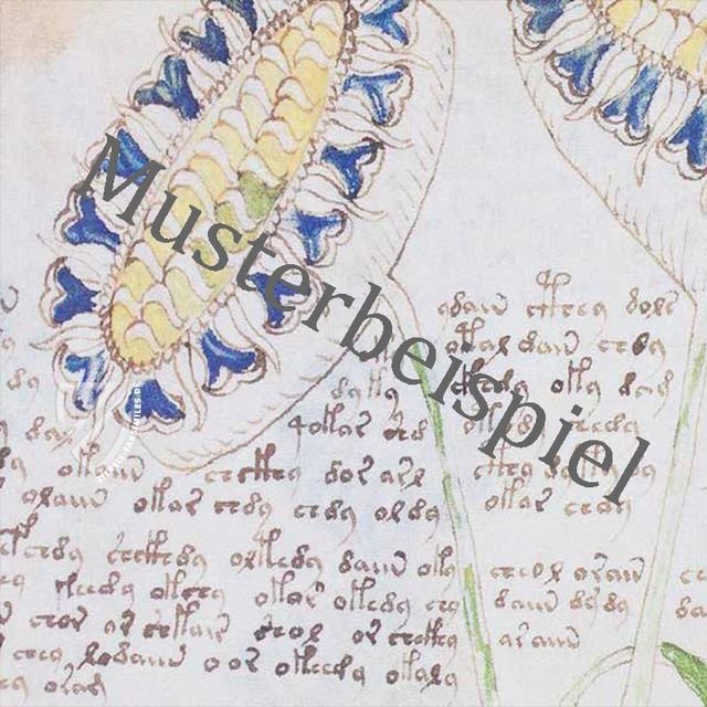 Medici-Codex von 1518 – University of Chicago Press – Privatsammlung