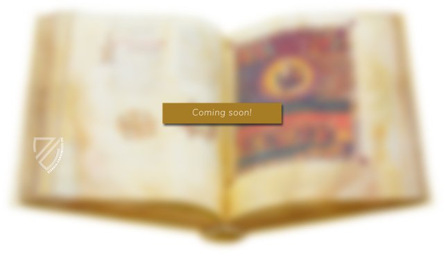 Ramon Llulls Electorium Parvum seu Breviculum – Reichert Verlag – Codex St. Peter perg. 92 – Badische Landesbibliothek (Karlsruhe, Deutschland) Ramon Llulls Electorium Parvum seu Breviculum – Reichert Verlag – Codex St. Peter perg. 92 – Badische Landesbibliothek (Karlsruhe, Deutschland)