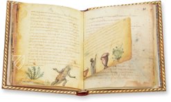 Theriaka und Alexipharmaka von Nikandros â M. Moleiro Editor â SupplĂ©ment grec 247 â BibliothĂšque nationale de France (Paris, Frankreich) Theriaka und Alexipharmaka von Nikandros â M. Moleiro Editor â SupplĂ©ment grec 247 â BibliothĂšque nationale de France (Paris, Frankreich)