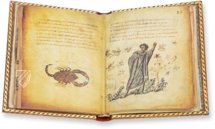 Theriaka und Alexipharmaka von Nikandros â M. Moleiro Editor â SupplĂ©ment grec 247 â BibliothĂšque nationale de France (Paris, Frankreich) Theriaka und Alexipharmaka von Nikandros â M. Moleiro Editor â SupplĂ©ment grec 247 â BibliothĂšque nationale de France (Paris, Frankreich)