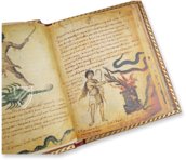Theriaka und Alexipharmaka von Nikandros â M. Moleiro Editor â SupplĂ©ment grec 247 â BibliothĂšque nationale de France (Paris, Frankreich) Theriaka und Alexipharmaka von Nikandros â M. Moleiro Editor â SupplĂ©ment grec 247 â BibliothĂšque nationale de France (Paris, Frankreich)