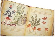 Theriaka und Alexipharmaka von Nikandros â M. Moleiro Editor â SupplĂ©ment grec 247 â BibliothĂšque nationale de France (Paris, Frankreich) Theriaka und Alexipharmaka von Nikandros â M. Moleiro Editor â SupplĂ©ment grec 247 â BibliothĂšque nationale de France (Paris, Frankreich)