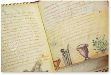 Theriaka und Alexipharmaka von Nikandros â M. Moleiro Editor â SupplĂ©ment grec 247 â BibliothĂšque nationale de France (Paris, Frankreich) Theriaka und Alexipharmaka von Nikandros â M. Moleiro Editor â SupplĂ©ment grec 247 â BibliothĂšque nationale de France (Paris, Frankreich)