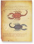 Theriaka und Alexipharmaka von Nikandros â M. Moleiro Editor â SupplĂ©ment grec 247 â BibliothĂšque nationale de France (Paris, Frankreich) Theriaka und Alexipharmaka von Nikandros â M. Moleiro Editor â SupplĂ©ment grec 247 â BibliothĂšque nationale de France (Paris, Frankreich)