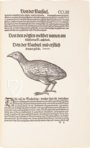 Vogelbuch von Conrad Gessner – Josef Stocker-Schmid – NS 4 | F – Zentralbibliothek Zürich (Zürich, Schweiz)